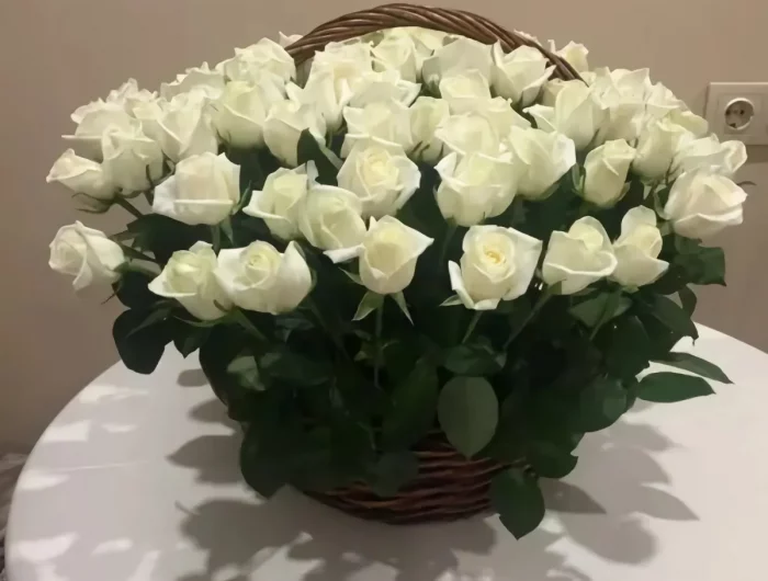faire pousser un rosier à partir d'une rose bouquet de roses blanches