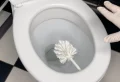 Comment détartrer la cuvette des WC avec seulement 1 ingrédient ? Les astuces imbattables des internautes pour combattre le tartre !