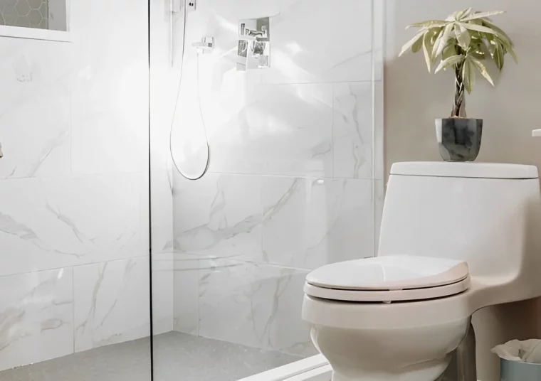 nettoyer fond cuvette wc tres incrustee carrelage marbre plante salle de bain