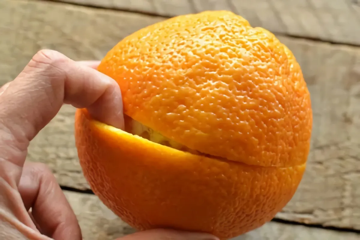 Orange peel in the vegetable garden peeling hand skin