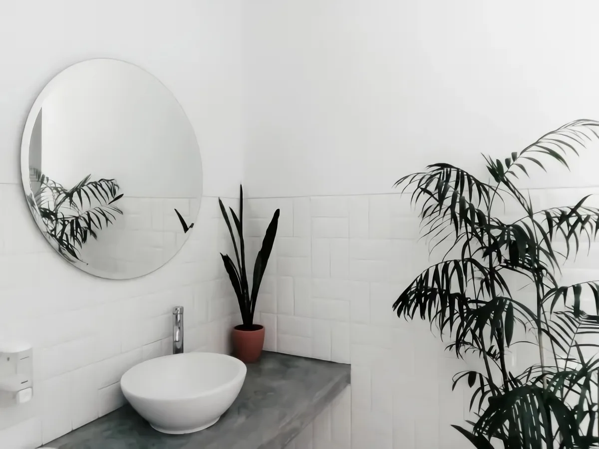 plantes pour salle de bain sans fenêtres idée plante humidité ensoleillement