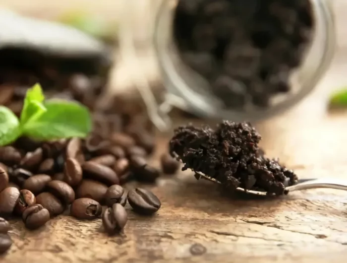 pourquoi utiliser le marc de cafe comme engrais naturel