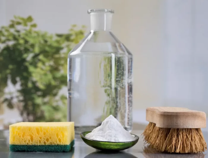 produits naturels efficaces pour nettoyer le daim