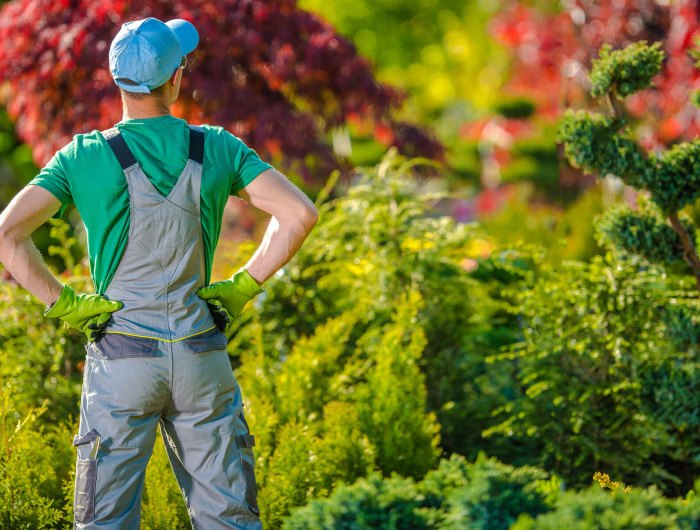 que faire au potager en hiver jardinier regarde sonpotager