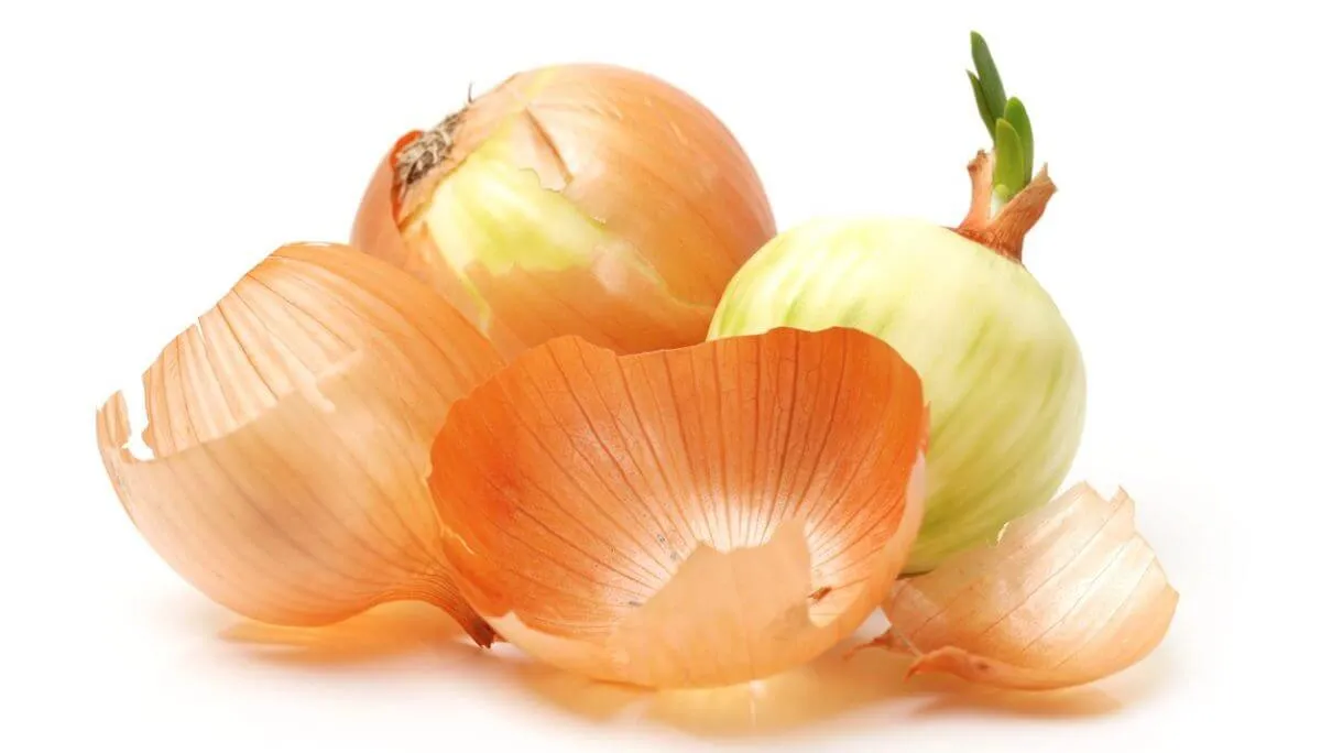what are the benefits of peeled onions peeled onion peel