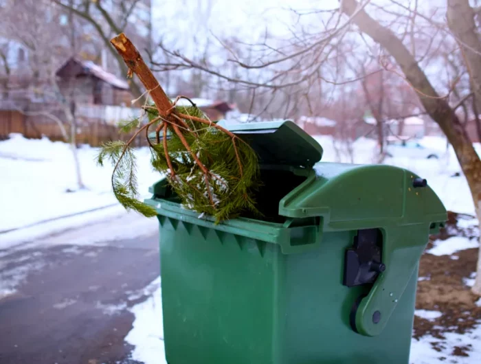 recyclage d'un sapin dechet poubelle verte