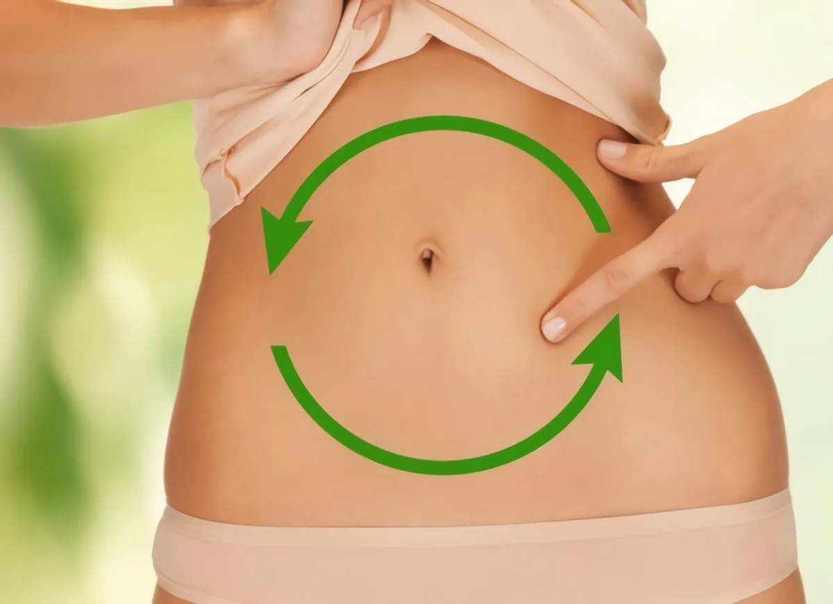 schema avec des fleches vertes en cercle sur le corps feminin qui montre le fonctionnement du metabolisme