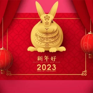 Astro chinois 2023 : quels signes auront le plus de chance dans l'année du lapin d'eau ?