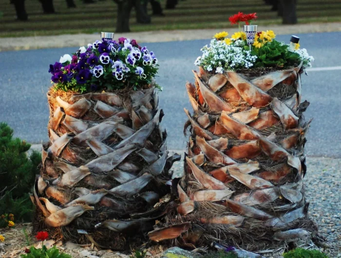 souche de palmiers en jardiniere fleurs rouges rue