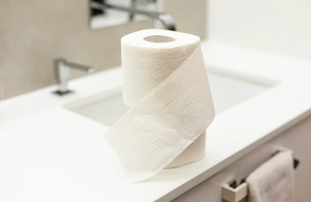 toilette rouleau papier bouchon wc solution plomberie