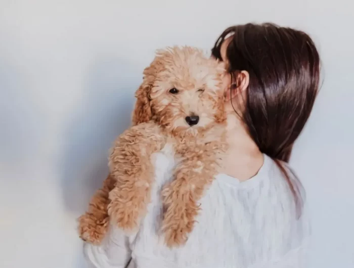 une femme de dos tiens dans ses bras un chien beige qui se detend sur son epaule