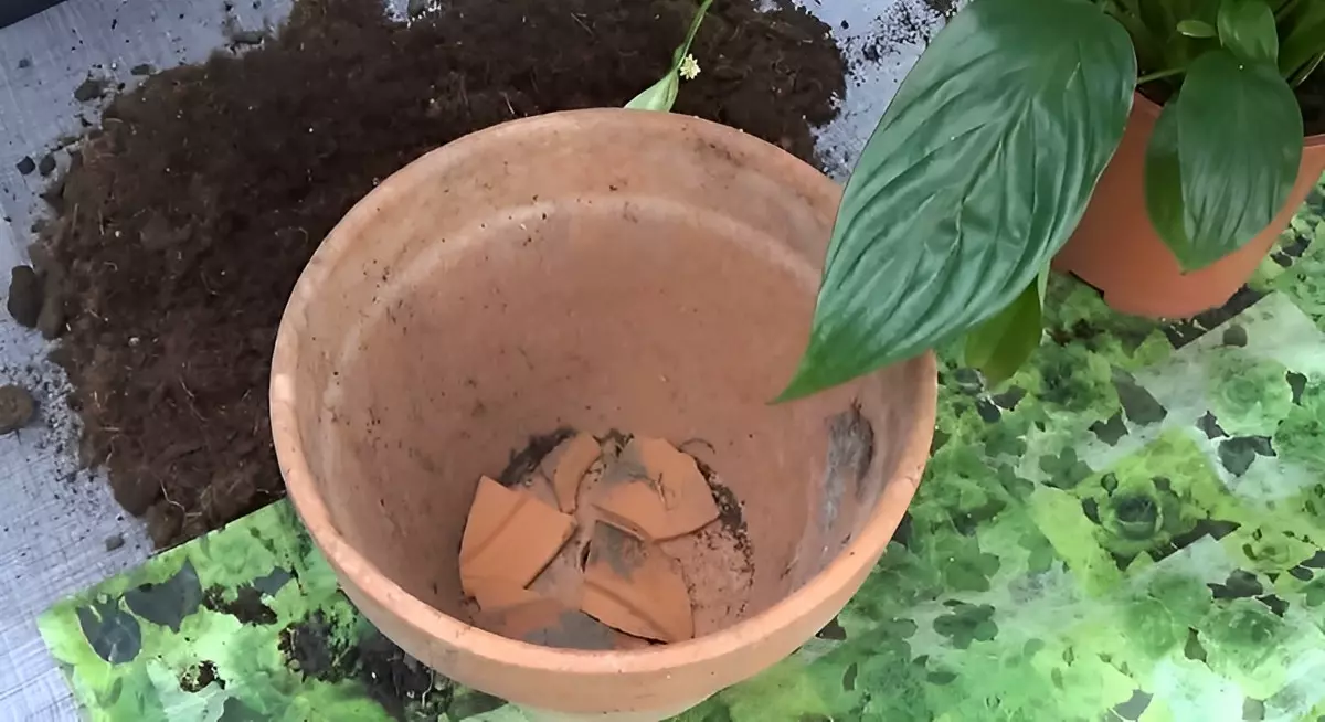 pot troue en terre cuite avec des morceaux de terre cuite sur les gros trous au fond du pot
