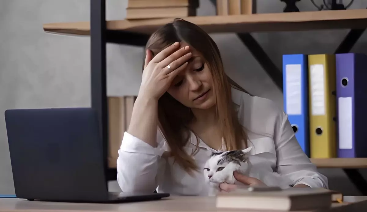 une femme extenuee au bureau avec un chat a cote d elle
