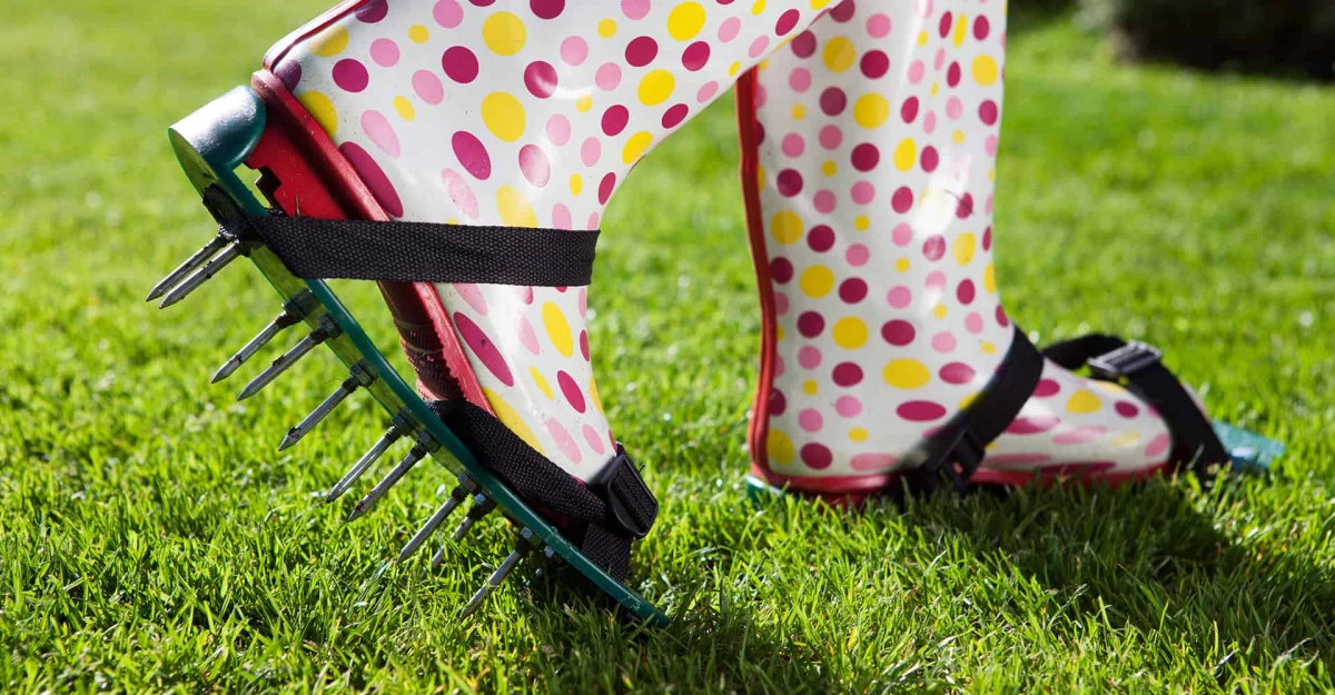aeration de la pelouse pour empecher la mousse de pousser bottes a pluie poids rose et jaune