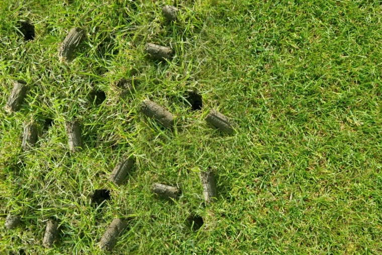 aeration du gazon au printemps herbe verte trou