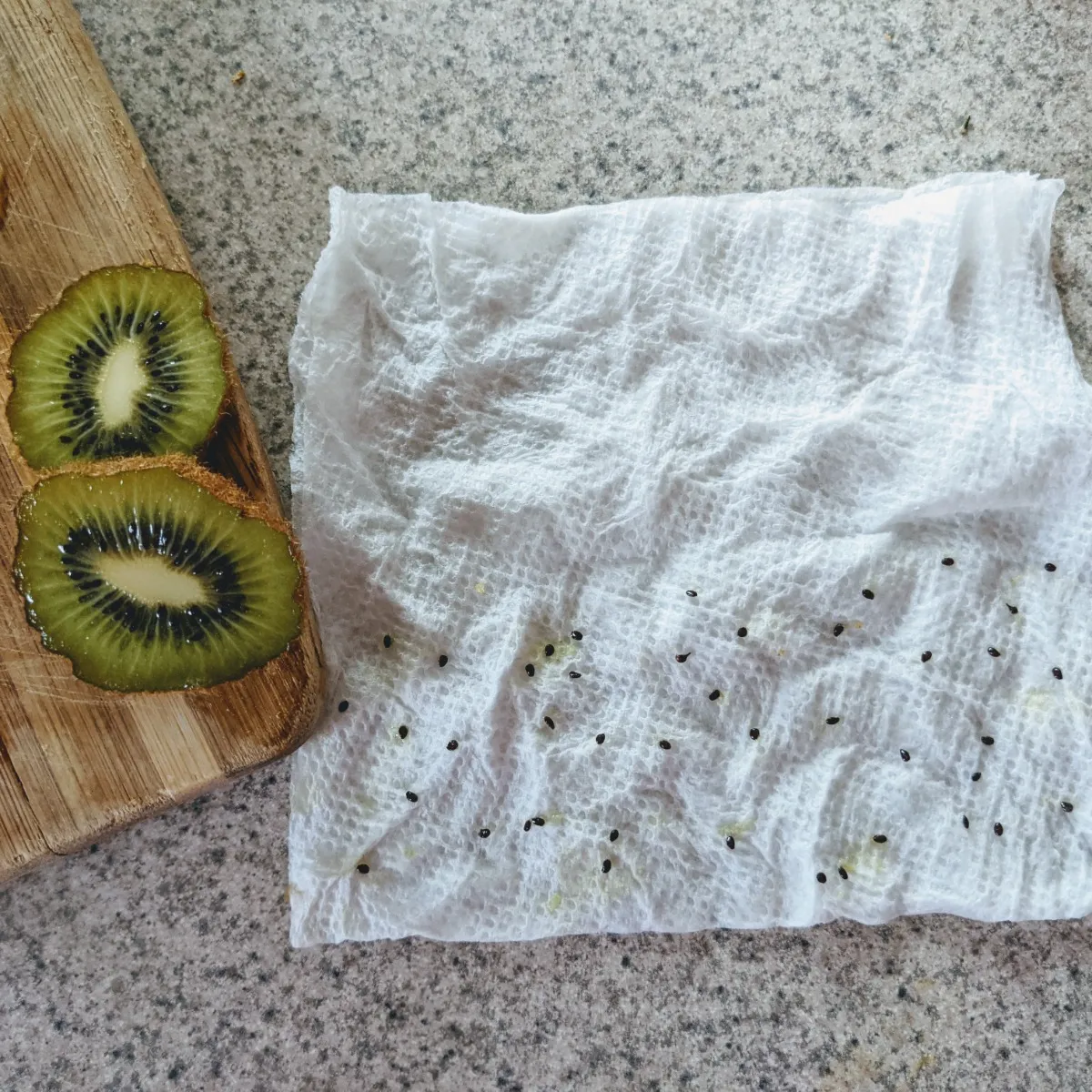 astuces pour reussir l extraction de graines de kiwi