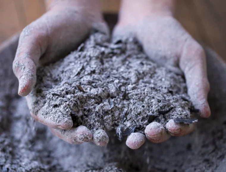 cendre de bois contre la mousse dans le gazon