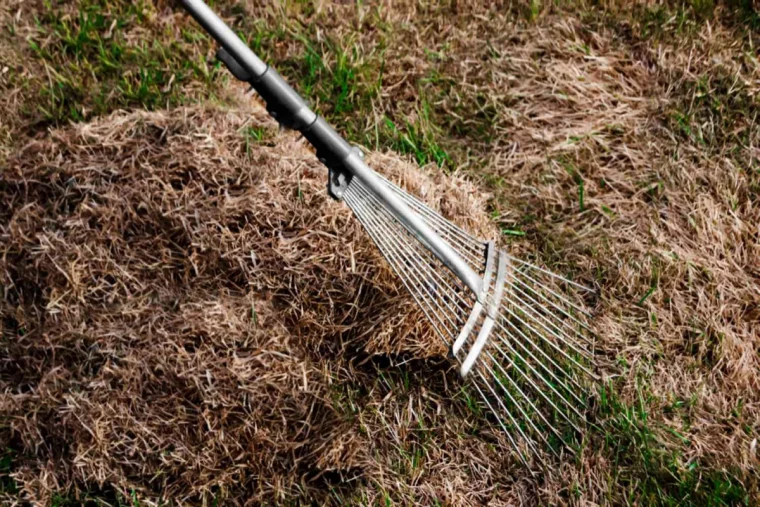 comment bien enleber les debris au printemps sur la pelouse