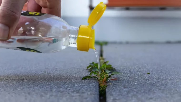 comment eliminer les mauvaises herbes entre les dalles