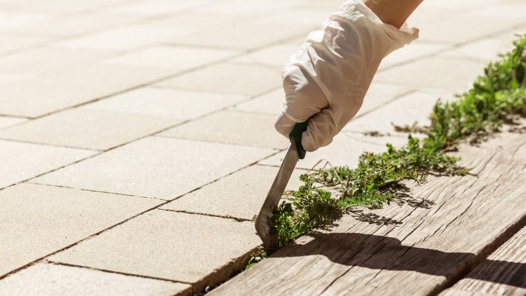 removing weed out of terrace paving stones