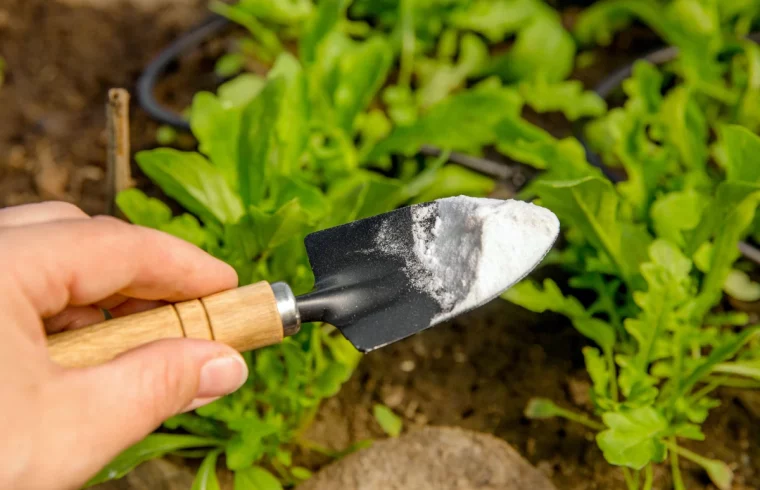 comment faire du desherbant avec du gros sel verdure