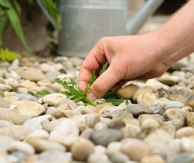 comment faire pour que les mauvaises herbes ne poussent plus entretien jardin efficace