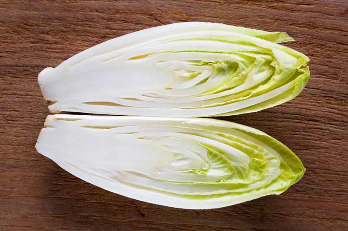 comment faire pousser des endives soi meme