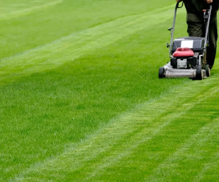 comment faire un désherbant naturel fait maison efficace