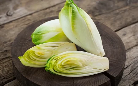 comment soigner les endives conseils de pro
