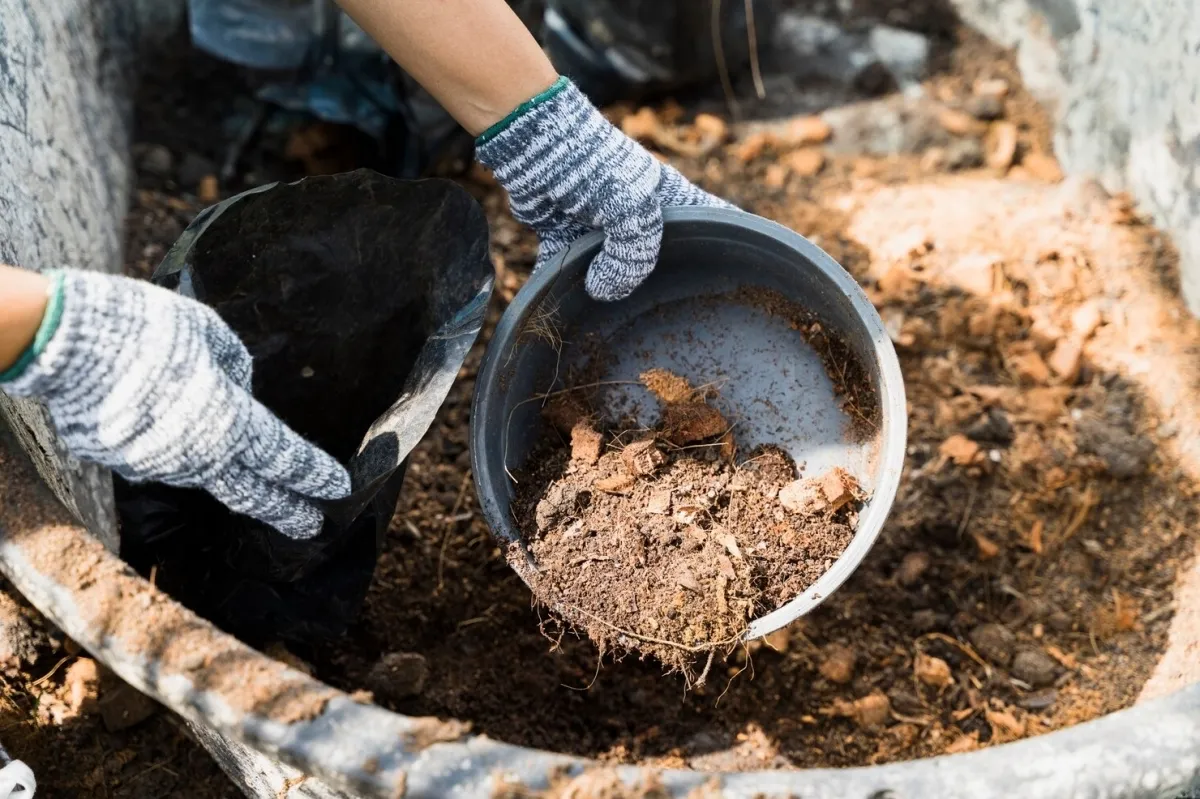 comment utiliser le compost comme engrais naturel gants terre