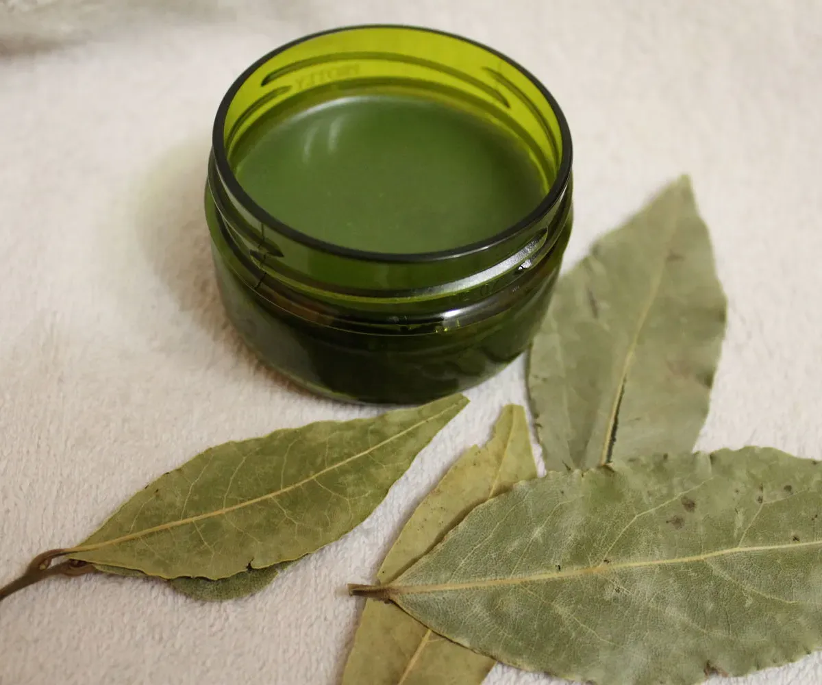 comment utiliser les feuilles de laurier huile en boite