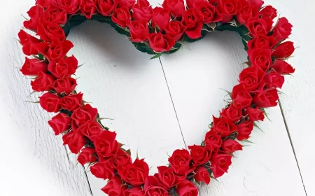 couronne en forme de cœur faite de roses rouges sur fond de planches en bois peintes en blanc