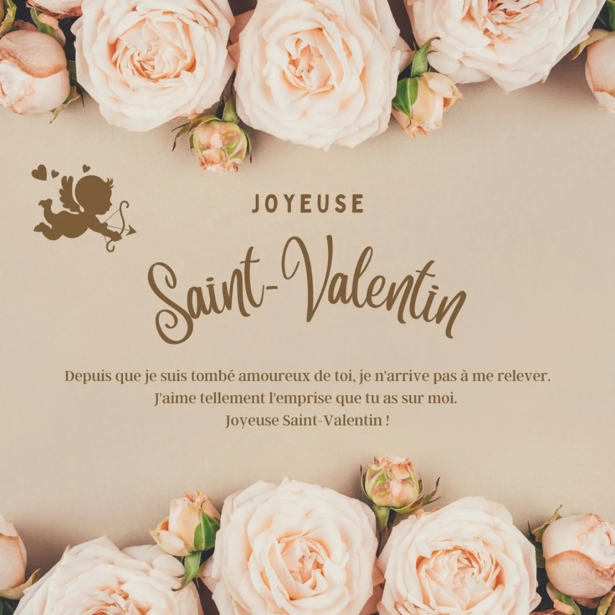 declarer son amour citation saint valentin avec image de roses fleurs