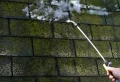Comment enlever la mousse naturellement sur une terrasse et faire pour qu’elle ne revienne pas ?