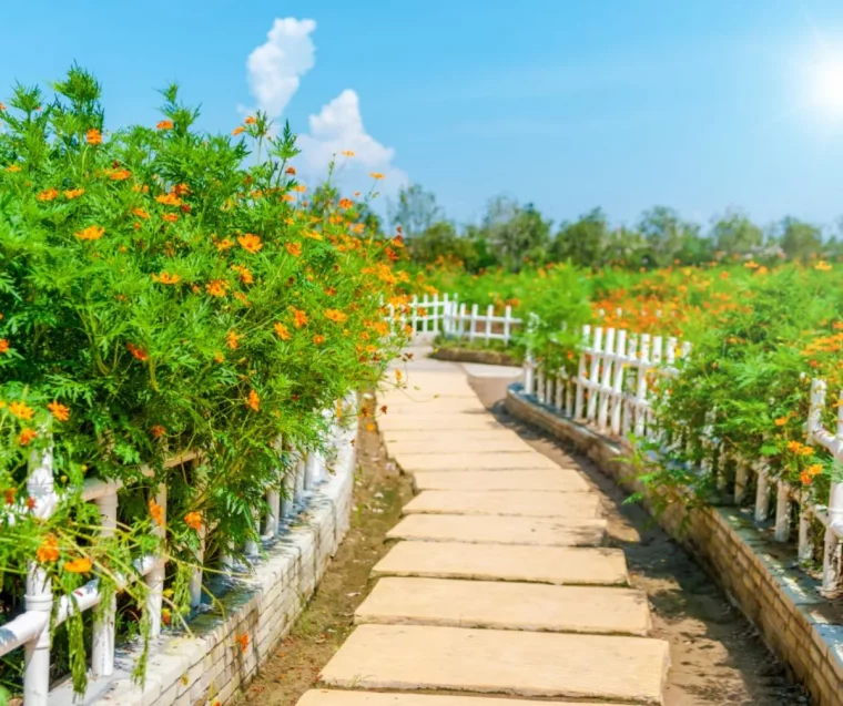 idées déco jardin originaux en chemin de jardée allée diy originale