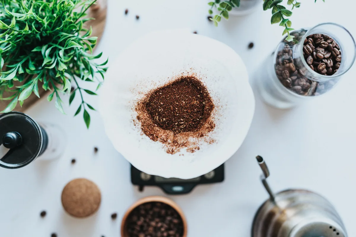 marc de café engrais organique naturel pour les plantes vertes récup