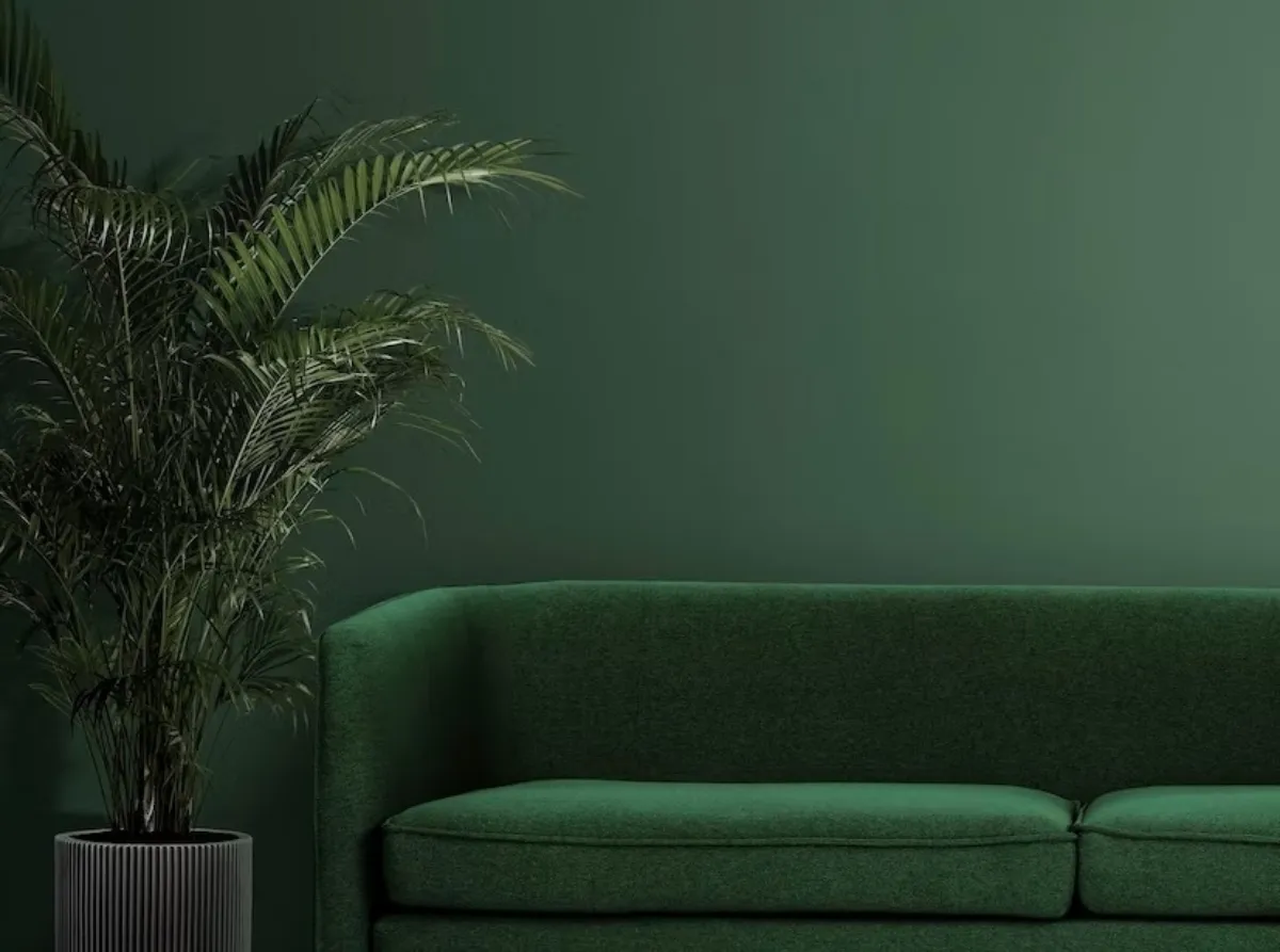 peinture nuance de vert fonce deco jungle nature plante verte palmier d interieur