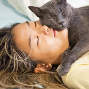 Pourquoi mon chat dort sur moi ? Voici l'explication des spécialistes !
