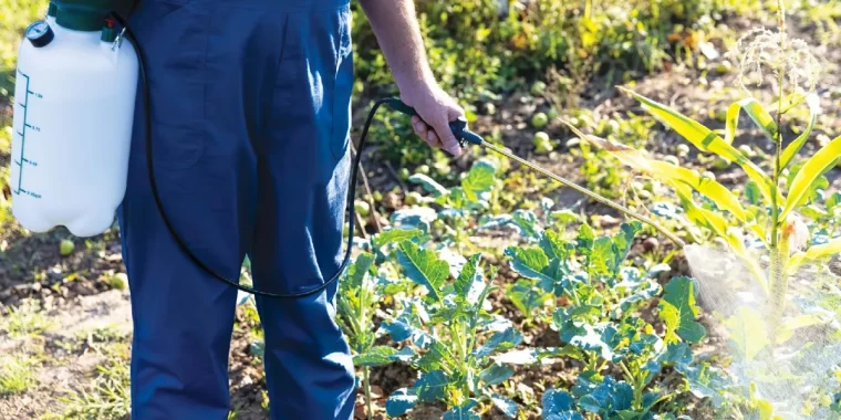 produit puissant contre les mauvaises herbes conseils