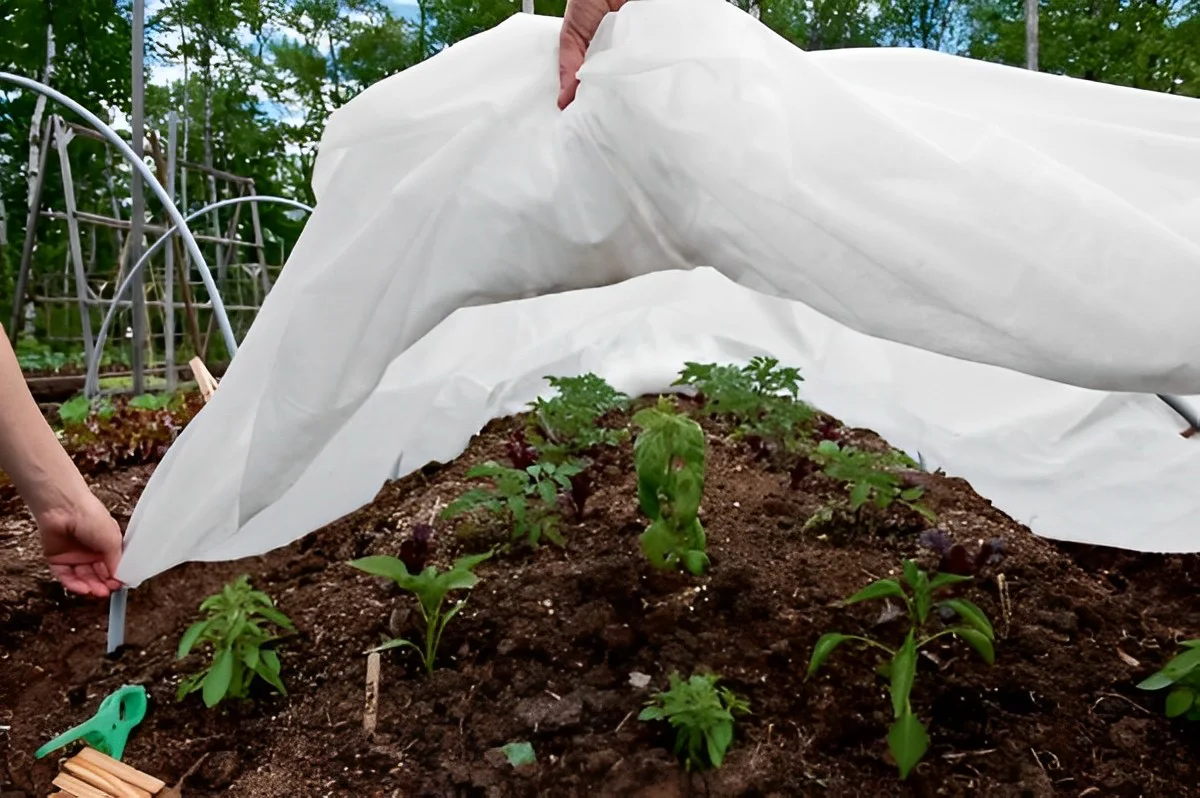 protection potager voile d hivernage quand enlever