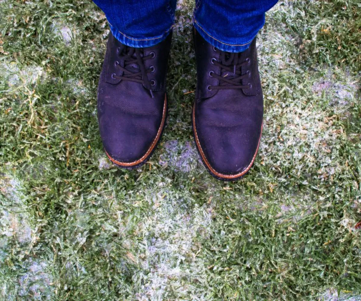 quand commencer à tondre la pelouse après l'hiver deux pied sur gazon en gel