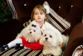 Ces races de chiens hypoallergéniques qui ne perdront pas leurs poils partout dans la maison