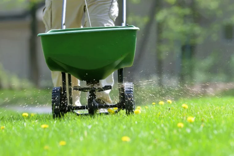 quel traitement pour la pelouse au printemps fertilisation engrais verdure