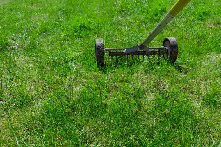 scarification du gazon au printemps outils herbes vertes