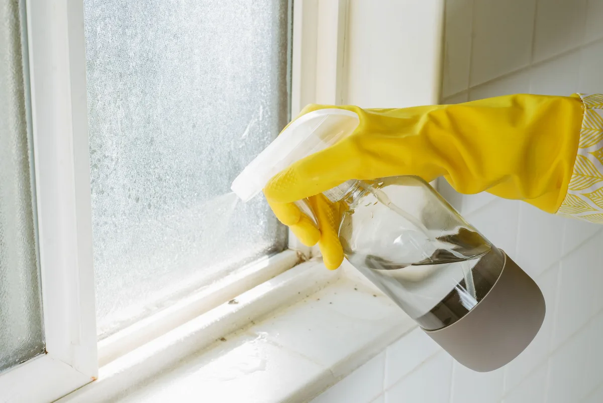 Comment éviter et prévenir la moisissure dans les cadres de fenêtres -  Organizen