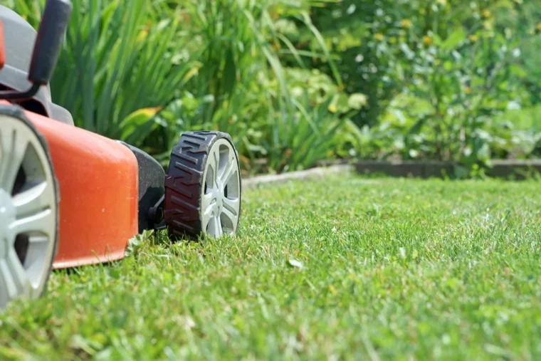 tondre la pelouse tondeuse rouge jardin