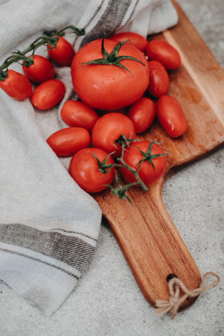 variétés de tomates anciennes quelles sont les meilleures tomates à cultiver