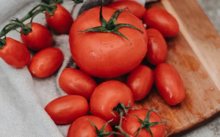 variétés de tomates anciennes quelles sont les meilleures tomates à cultiver