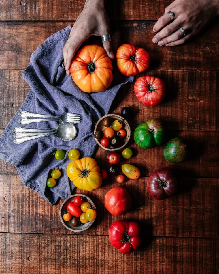 veriété de tomates liste des meilleures tomates couleurs variées