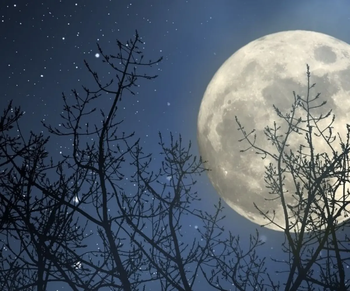 4 signes qui vont changer radicalement de vie après la dernière pleine lune d'hiver pleine lune